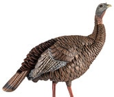 Avian X HDR Hen Turkey Decoy